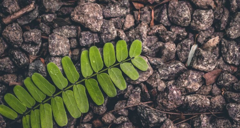 Beauty Tips That All Women Should Know