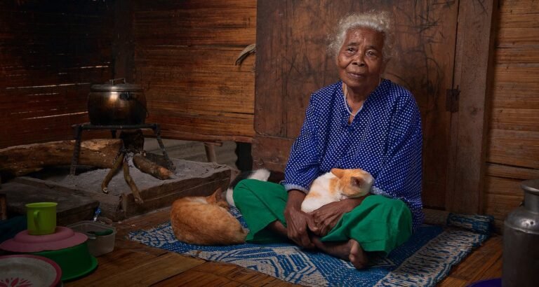 What Is The Best Food For Your Cat?