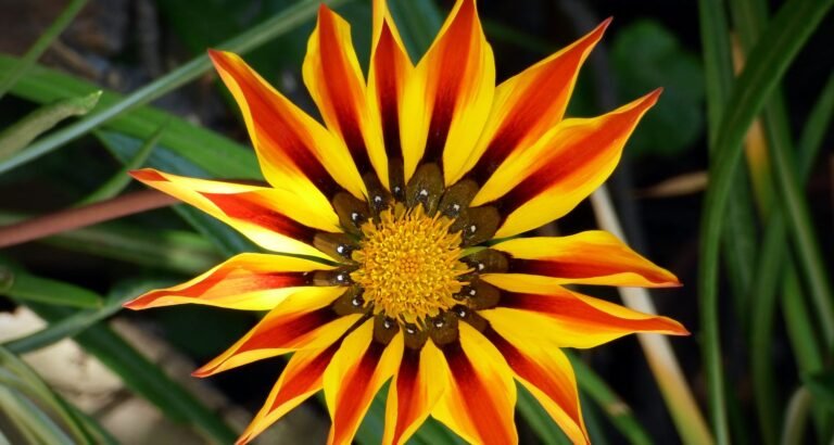 Look Great, Feel Great: Perfect Beauty Tips