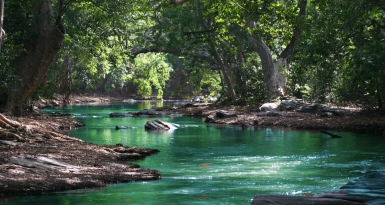 Beauty Can Be Easy With These Tips