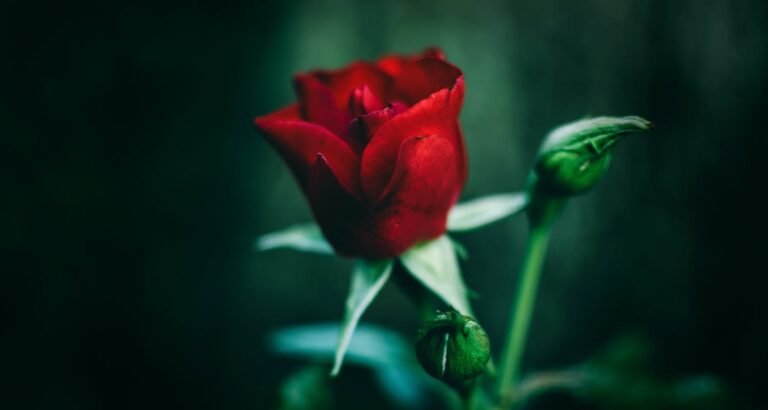 Read These Expert Beauty Tips Today For A Prettier Tomorrow